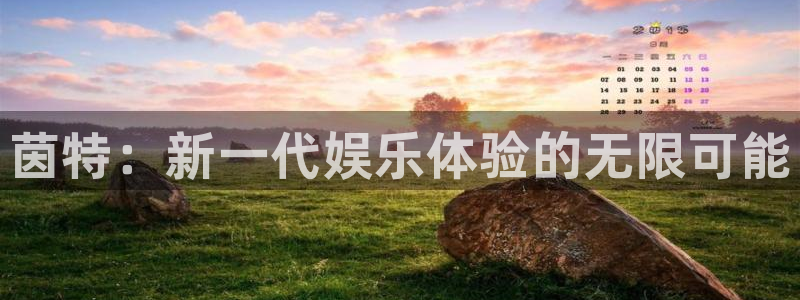 高德娱乐注册登录：茵特：新一代娱乐体验的无限可能