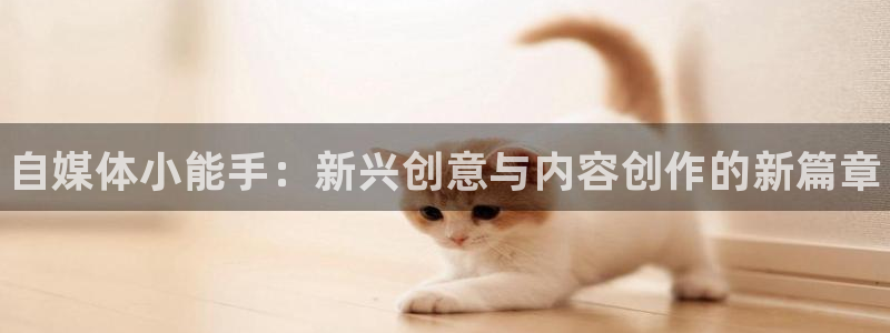 高德娱乐平台注册：自媒体小能手：新兴创意与内容创作的新篇章