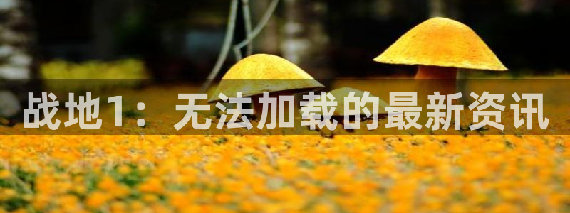 高德娱乐注册平台：战地1：无法加载的最新资讯