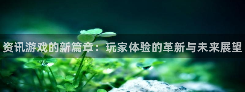 高德娱乐注册网站：资讯游戏的新篇章：玩家体验的革新与未来展望