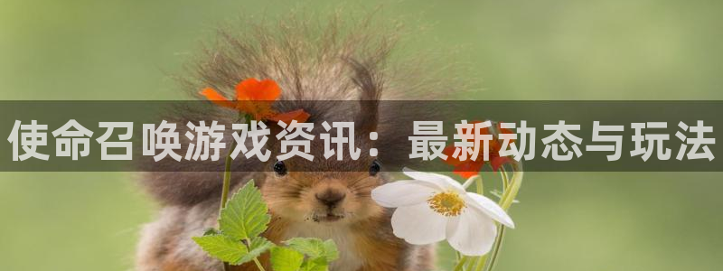 高德娱乐Ii：使命召唤游戏资讯：最新动态与玩法