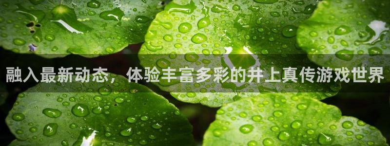 高德娱乐网址注册：融入最新动态，体验丰富多彩的井上真传游戏世