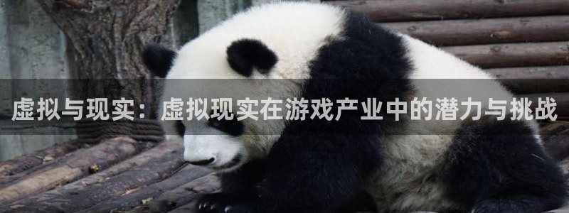 高德娱乐登陆地址：虚拟与现实：虚拟现实在游戏产业中的潜力与挑