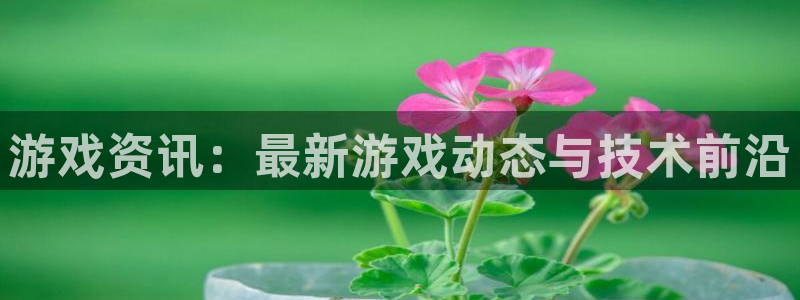 高德娱乐主管：游戏资讯：最新游戏动态与技术前沿