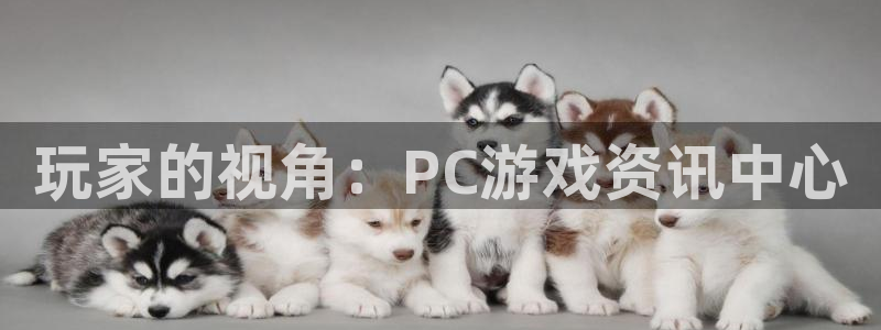 高德娱乐注册：玩家的视角：PC游戏资讯中心