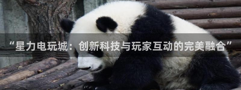 高德娱乐注册账号：“星力电玩城：创新科技与玩家互动的完美融合