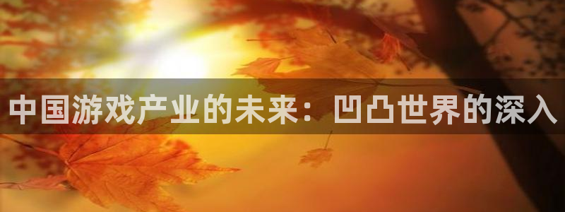 高德娱乐注册开户：中国游戏产业的未来：凹凸世界的深入