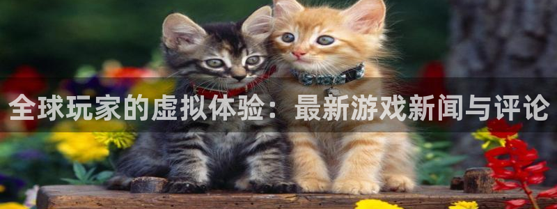 高德娱乐4招商：全球玩家的虚拟体验：最新游戏新闻与评论