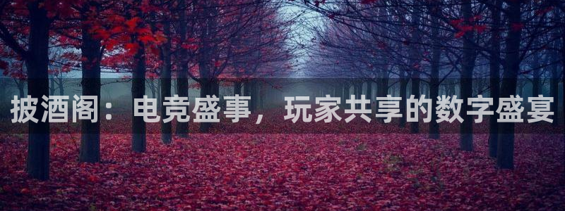 高德娱乐升级5994月：披酒阁：电竞盛事，玩家共享的数字盛宴