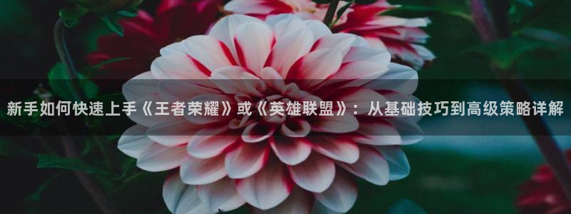 高德娱乐登陆：新手如何快速上手《王者荣耀》或《英雄联盟》：从