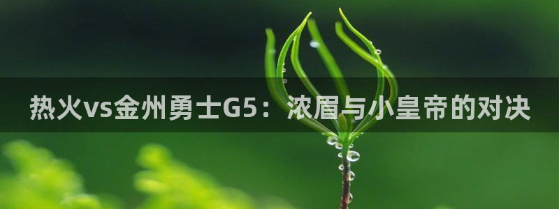 球神直播免费足球直播：热火vs金州勇士G5：浓眉与小皇帝的对决