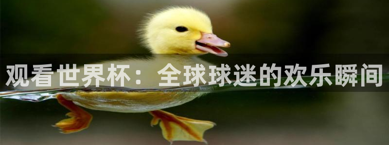 球神直播体育在线观看：观看世界杯：全球球迷的欢乐瞬间