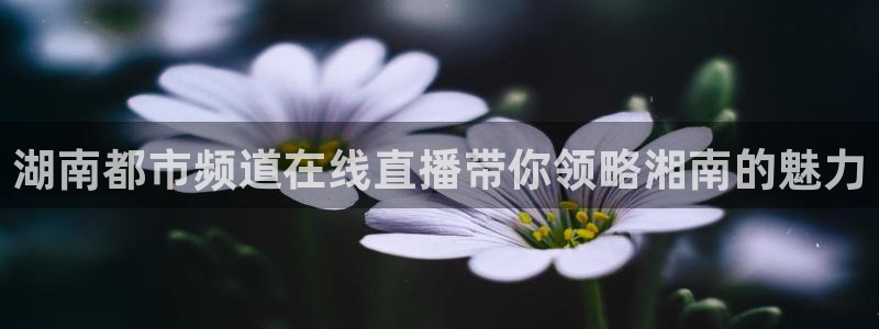 球神直播体育足球：湖南都市频道在线直播带你领略湘南的魅力