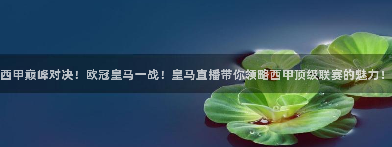 球神直播在线直播免费观看：西甲巅峰对决！欧冠皇马一战！皇马直播带你领略西甲顶级联赛的魅力！