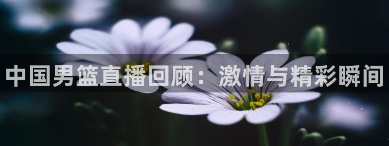 球神 直播：中国男篮直播回顾：激情与精彩瞬间