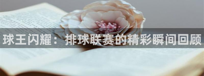 球神直播：球王闪耀：排球联赛的精彩瞬间回顾