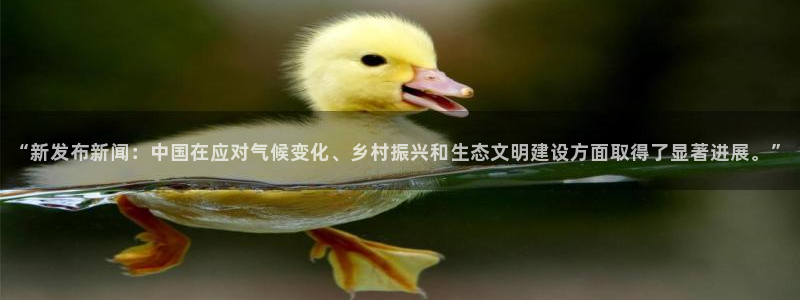 球神足球直播在线观看：“新发布新闻：中国在应对气候变化、乡村振兴和生态文明建设方面取得了显著进展。”