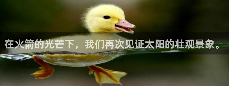 球神体育：在火箭的光芒下，我们再次见证太阳的壮观景象。