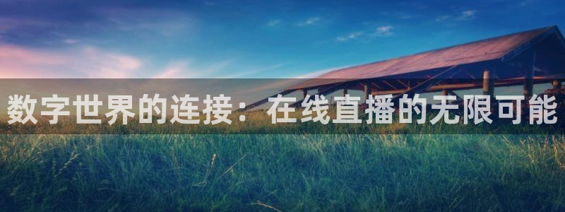 球神nba直播：数字世界的连接：在线直播的无限可能