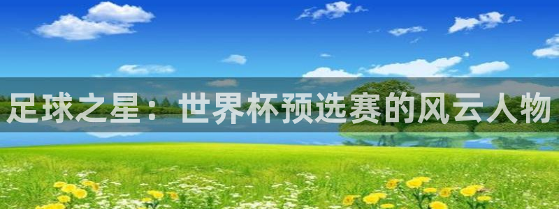 足球球神直播在线观看：足球之星：世界杯预选赛的风云人物